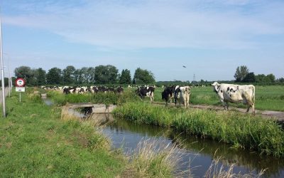 Van der Laan | Krimpen aan de Lek