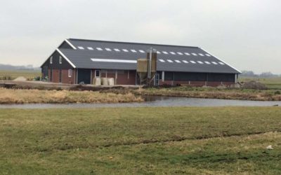 Kaasboerderij Van Eijk | Vlist